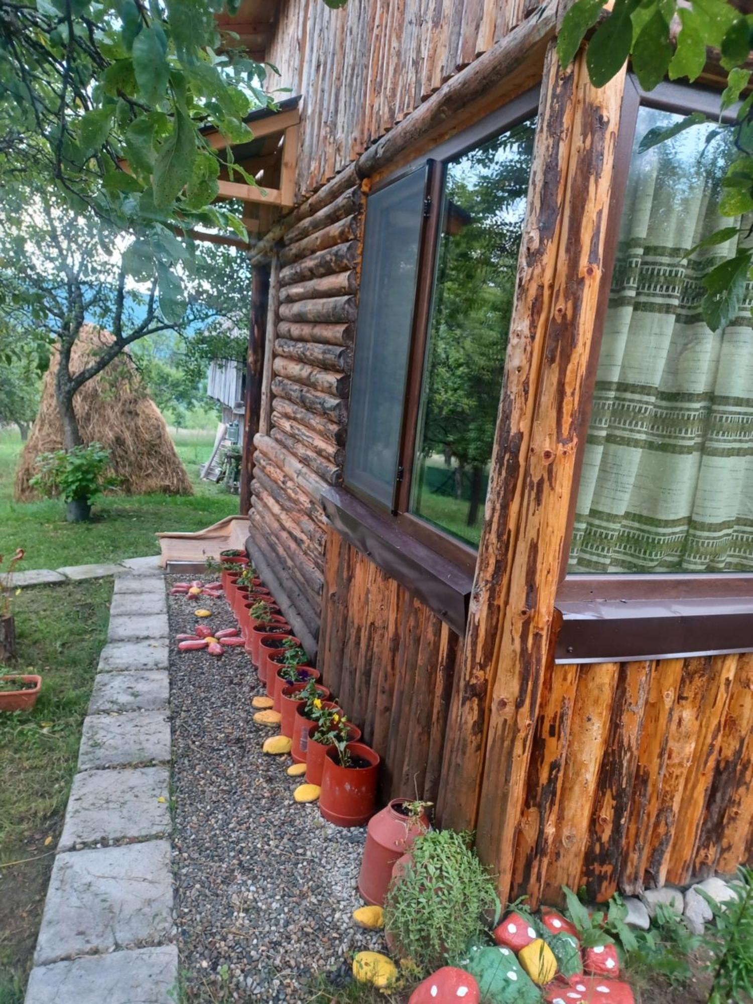 Hotel Casa Sara Nucsoara Exterior foto